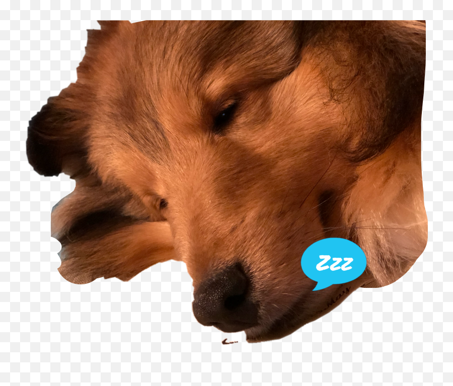 Sheltie Sheltiestitch Sticker Emoji,Sheltie Emoji