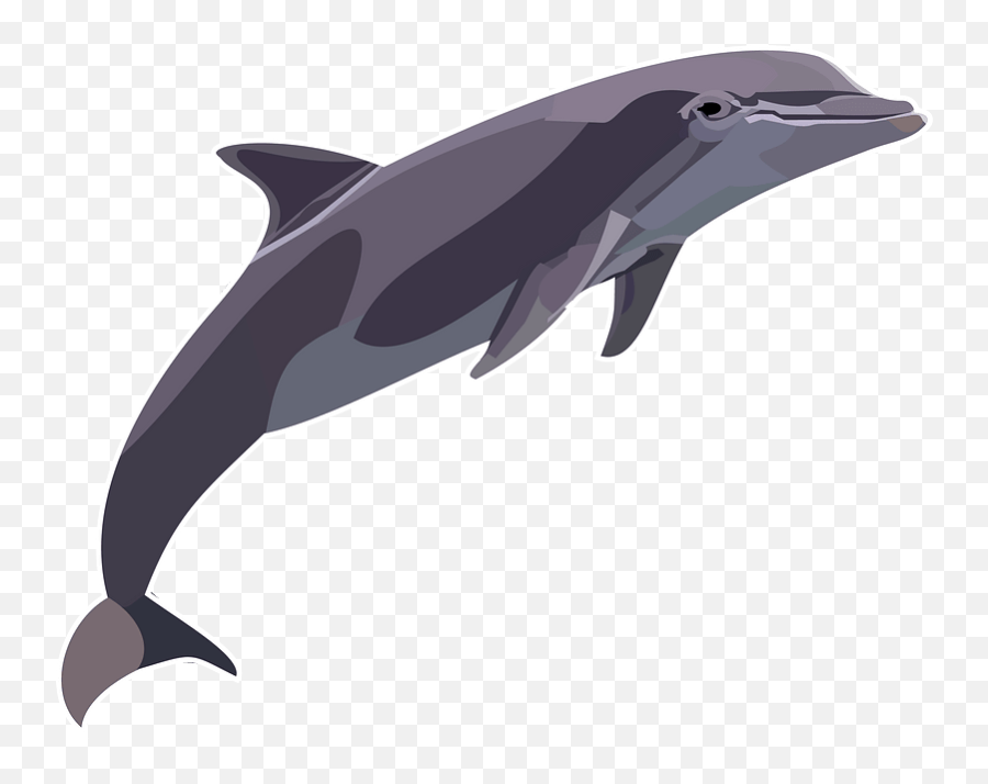 Dolphin Clipart Free Download Transparent Png Creazilla - Dolphin Clipart Emoji,3 Dolphins Emoji Meaning