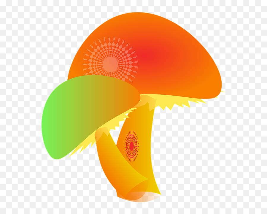 Fungi Mushroom Fungus Toxic Toadstool - Hallucinogens Clipart Emoji,Shitake Emotion