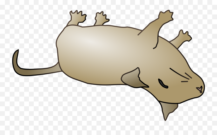 Filedead Mousesvg - Wikimedia Commons Dead Mouse Clipart Emoji,Emoticons Not Mause