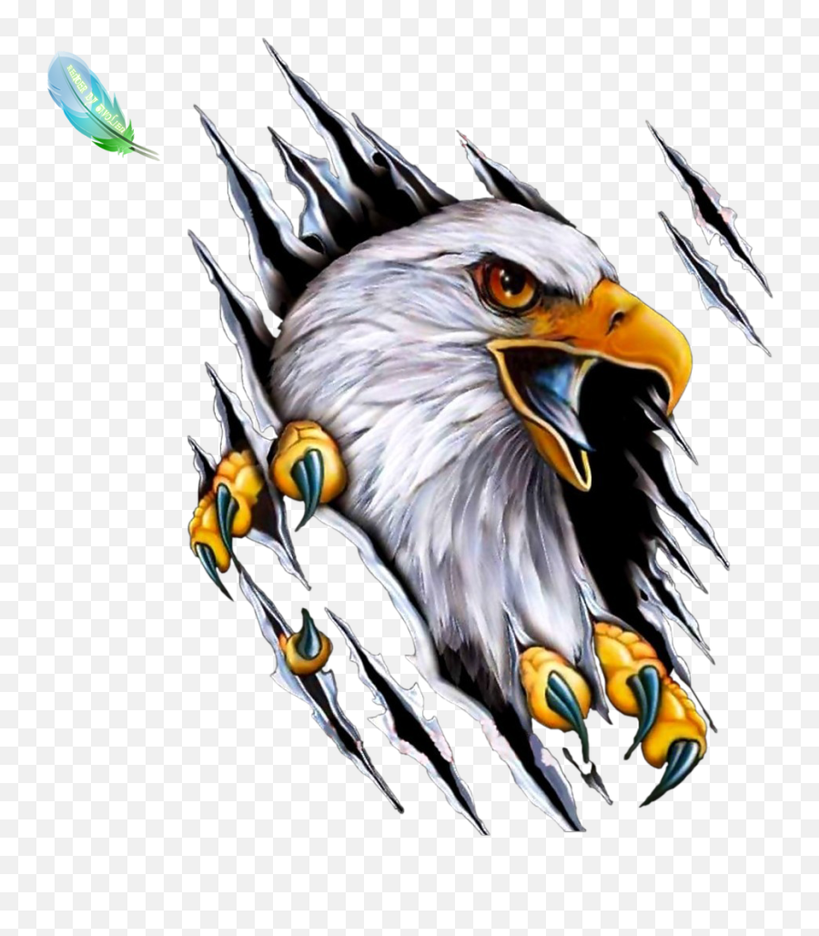 522 Connection Timed Out Arte De Aves Aguila Dibujo - Harley Davidson Emoji,Bald Eagle Emoji