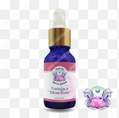 Shanti Portulaca Flower Essence - Strongylodon Macrobotrys Emoji,Work Emotion Kai