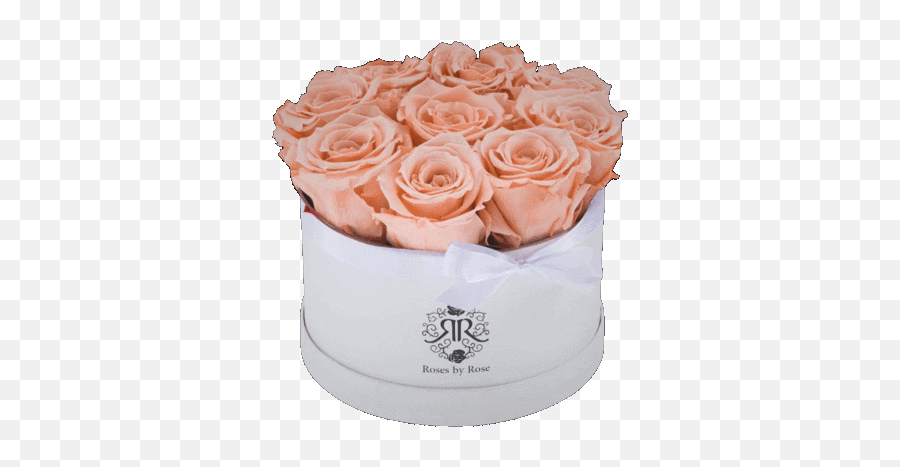 Valentine Love Sticker By Roses By Rose For Ios U0026 Android Emoji,Rose Emoji