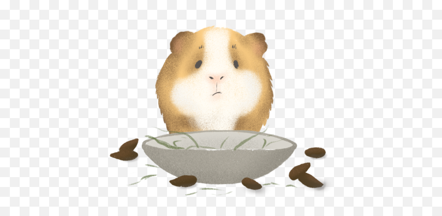 Guinea Pig Poop Chart - Guinea Pig Fling Poop Emoji,Guinea Pig Emoticon