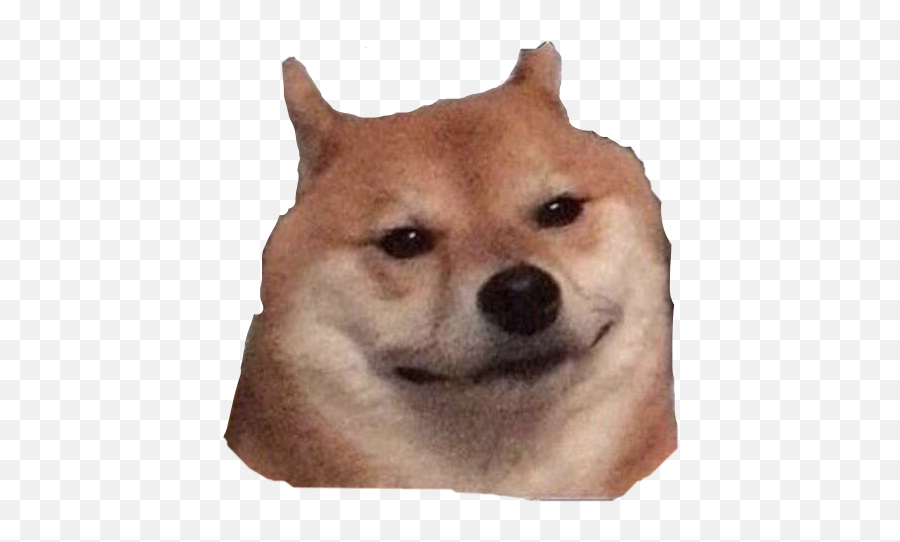 Shibe Shibenation Shiber Sticker - Hokkaido Dog Emoji,Shibe Emoji