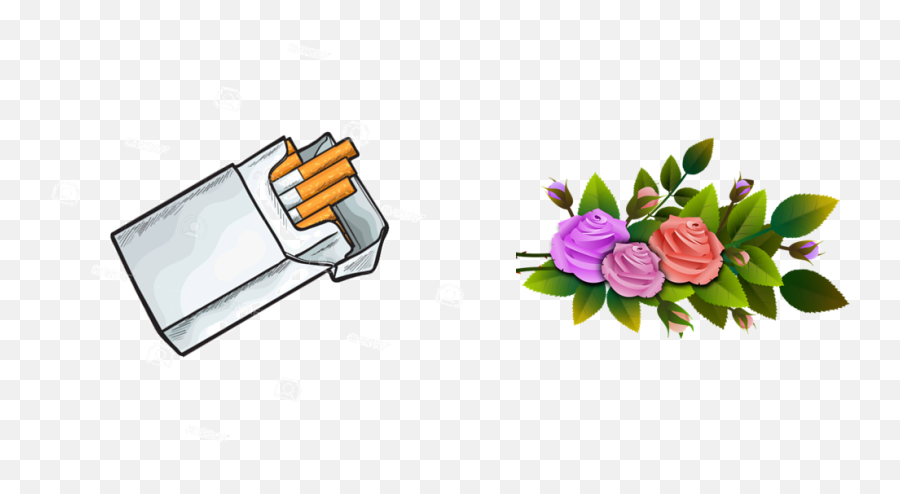 Crazy Comparisons How Creative Are You - Baamboozle Imagem Png Ramo De Flores Emoji,Two Roses Emoji