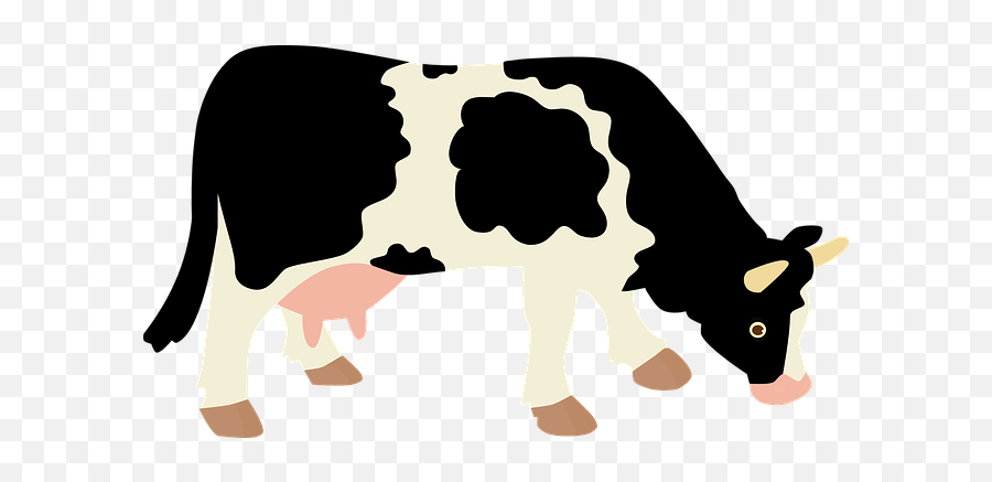 Meat Consumption - Dairy Cow No Background Emoji,Animal Emotions In Meat