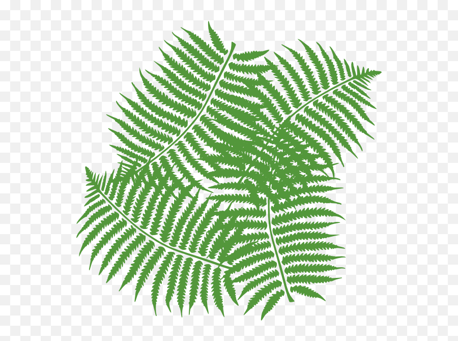 Fern Clipart - Clip Art Fern Emoji,Emojis Relating To Fern