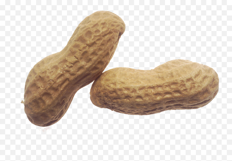 National Peanut Day Clip Art From - Peanut Transparent Background Emoji,Peanut Emoji