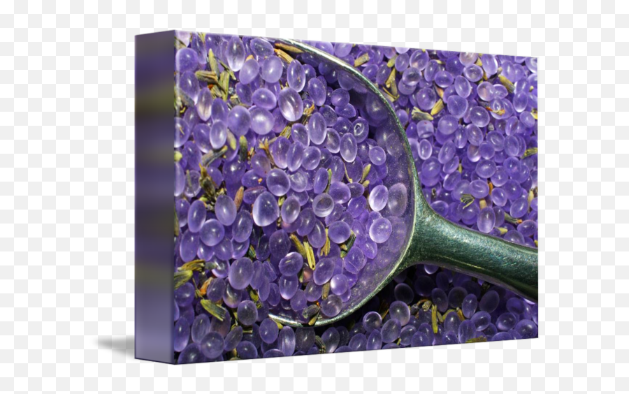 Lavender Potion - Hydrangea Emoji,The Potion Of Emotion