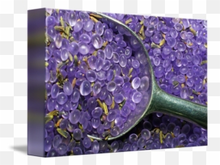 Lavender Potion - Hydrangea Emoji,The Potion Of Emotion