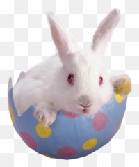 Easter Bunny Psd Psd Free Download Templates U0026 Mockups Emoji,Egg Bunny Emoticon