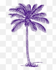 Palm Tree Png Svg Clip Art For Web - Palm Tree Lined Stationery Emoji,Palm Tree Book Emoji