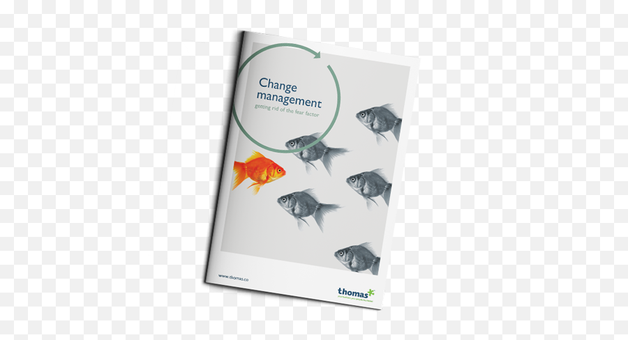 Guide To Change Management Thomas International Emoji,Emotions Of Change Management