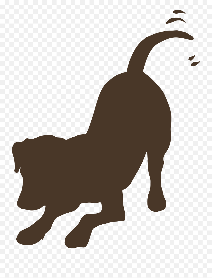 Doterra Essential Oils U2013 The Natural Vets - Silhouette Dog Clipart Transparent Background Emoji,Dog Tail Emotions