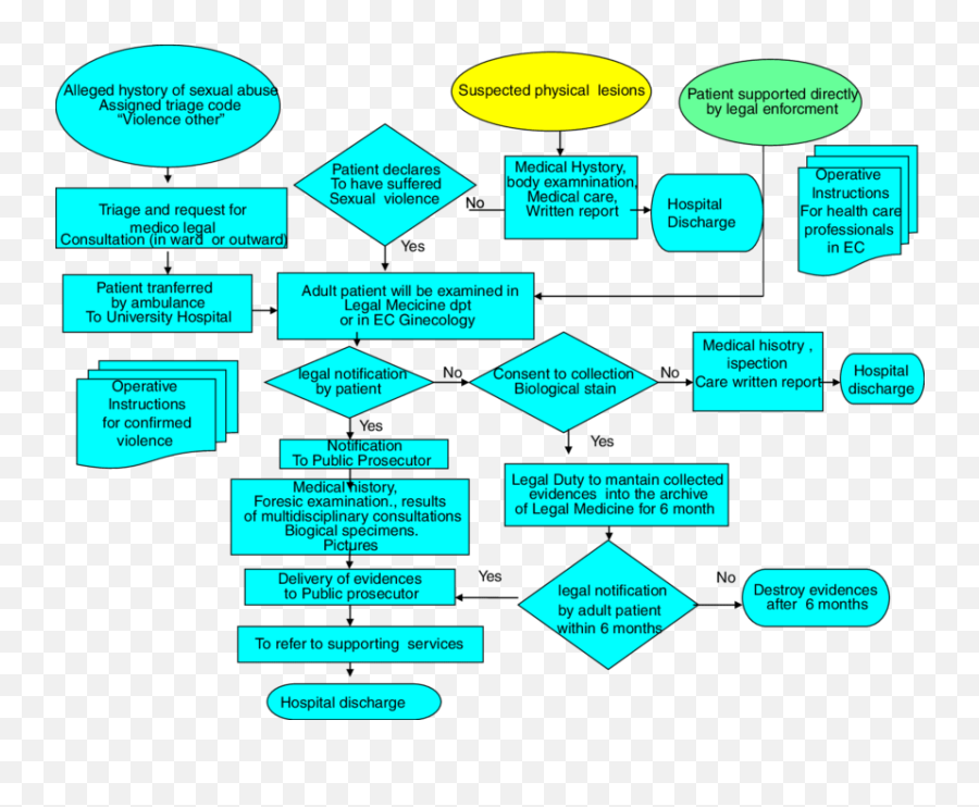 Flow Chart Of Procedure For Taking Care - Vertical Emoji,Emotion Code Flowcharts