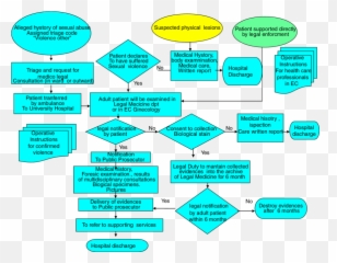 Flow Chart Of Procedure For Taking Care - Vertical Emoji,Emotion Code Flowcharts