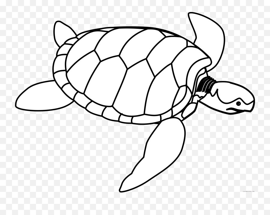 Turtle Outline Coloring Pages Turtle Shell Template Best - Keep Calm And Love Turtles Emoji,Emoji Stencils Printable