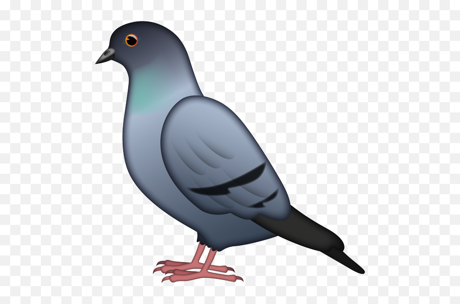 Home Sir Pigeon - Emoji Pigeon,How To Use Emojis In Quark?