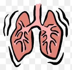 Pin - Respiratory Clipart Emoji,Meme Karen Walker Emotions