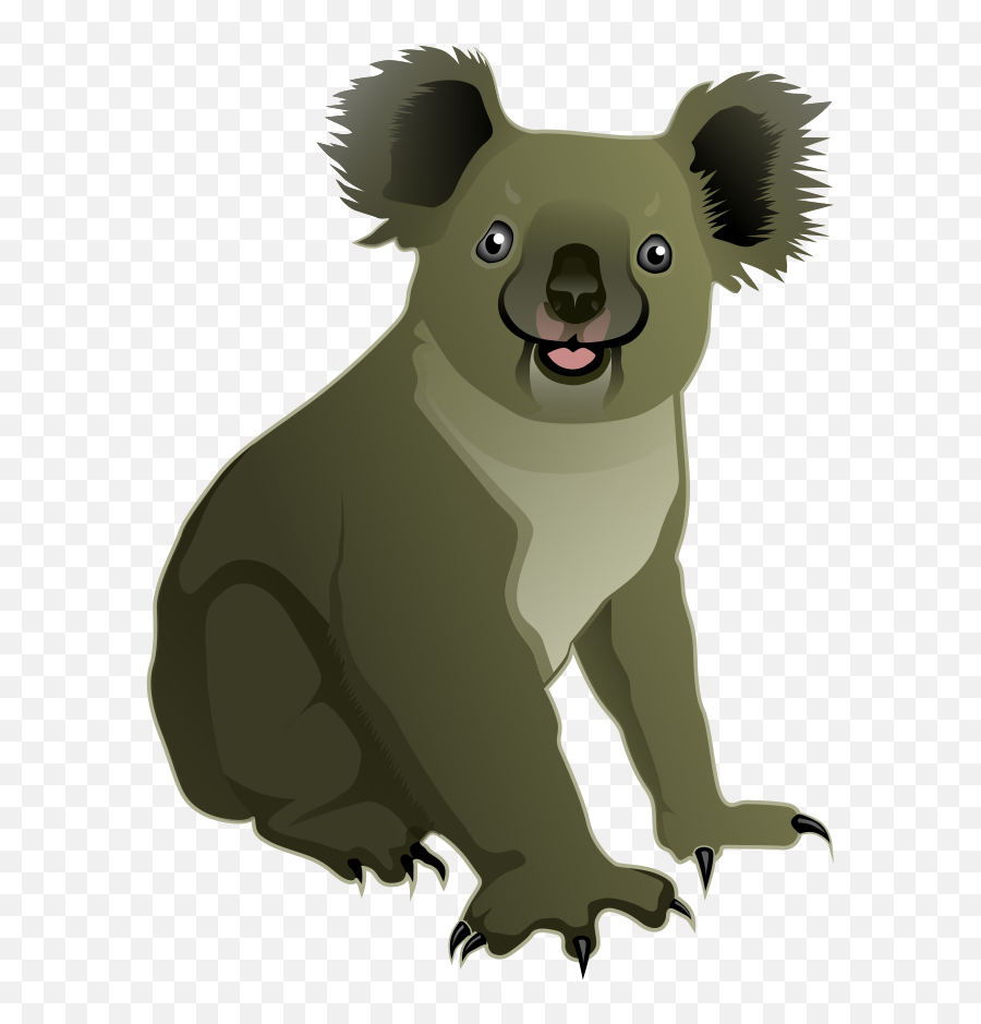 Koala Png - Koala Clipart Realistic Transparent Cartoon Koala Clipart Emoji,Koala Emoji Png