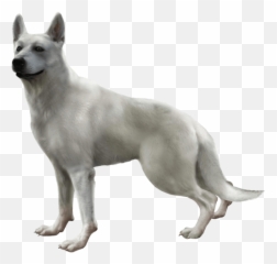 Memorable Video Game Dogs - Cliqist Emoji,Dog Emotions Video
