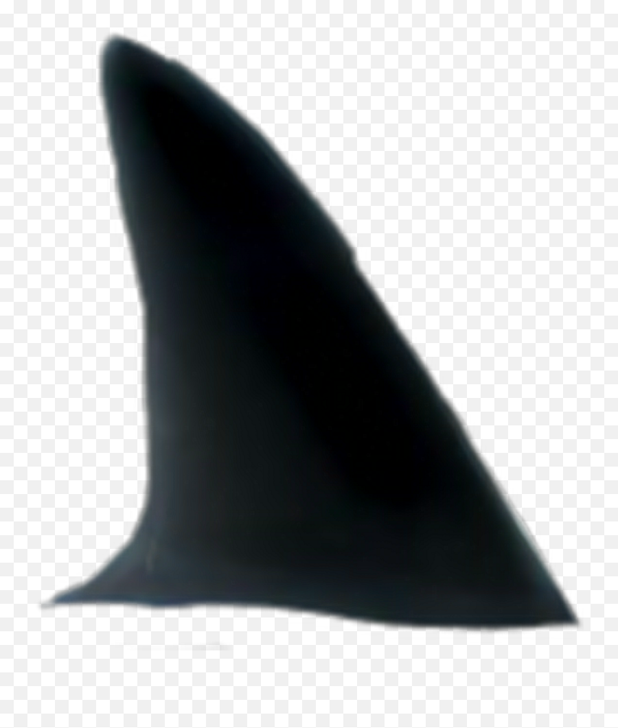Sharkfin Sticker - Transparent Background Shark Fin Png Emoji,Shark Fin Emoji