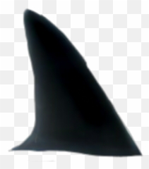 Sharkfin Sticker - Transparent Background Shark Fin Png Emoji,Shark Fin Emoji