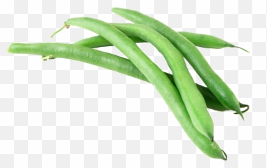 Plant Clipart String Bean Plant String - Green Beans Transparent Background Emoji,Green Bean Emoji