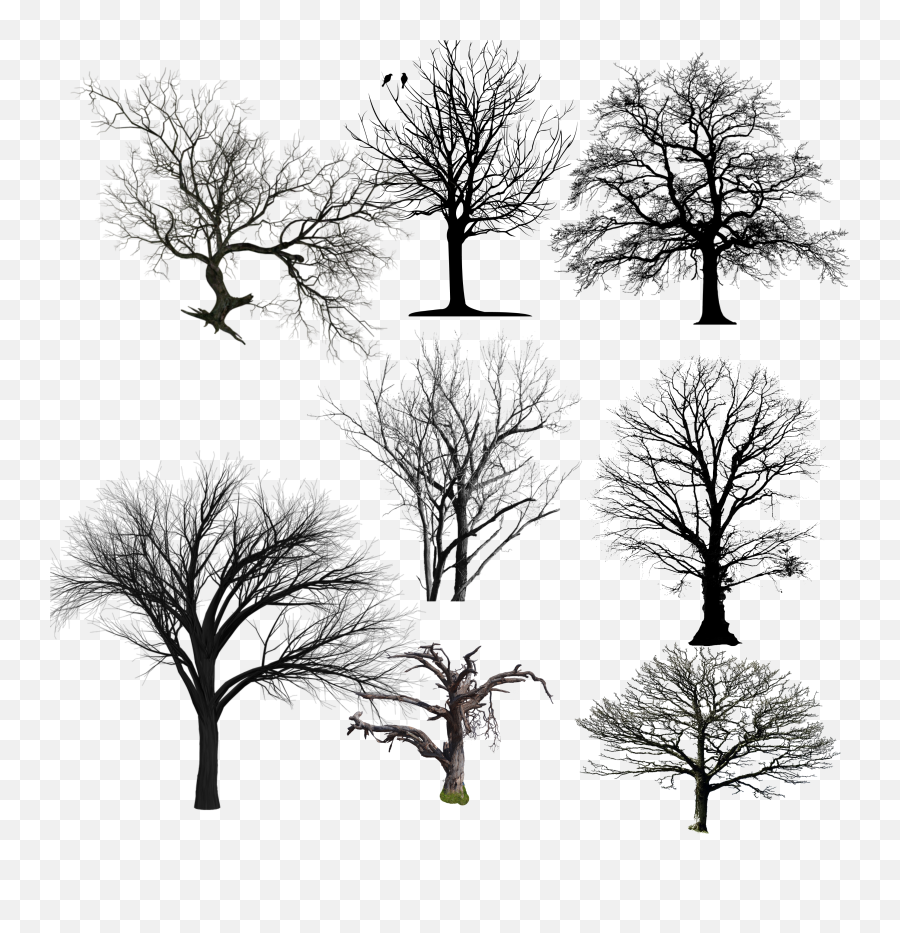 Dead Trees Sticker - Lovely Emoji,Dead Tree Emoji