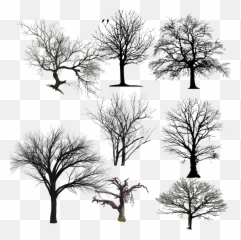 Dead Trees Sticker - Lovely Emoji,Dead Tree Emoji