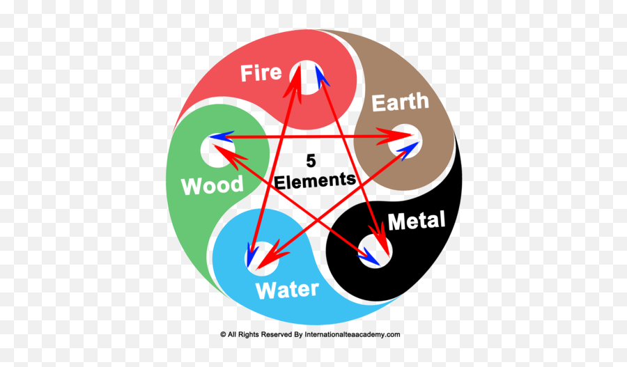 Why 5 Elements Is The Key For Brewing Tea - International Dot Emoji,Chinese Medicine Organs And Emotions