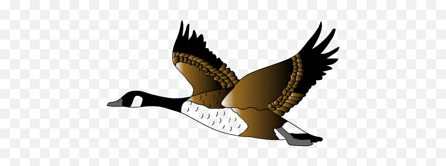 Wild Birds Unlimited Birds Flying - Clipart Flying Goose Emoji,Emoticon De Olas