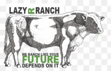 Grass Fed Beef Emoji,Cow Showing Emotion