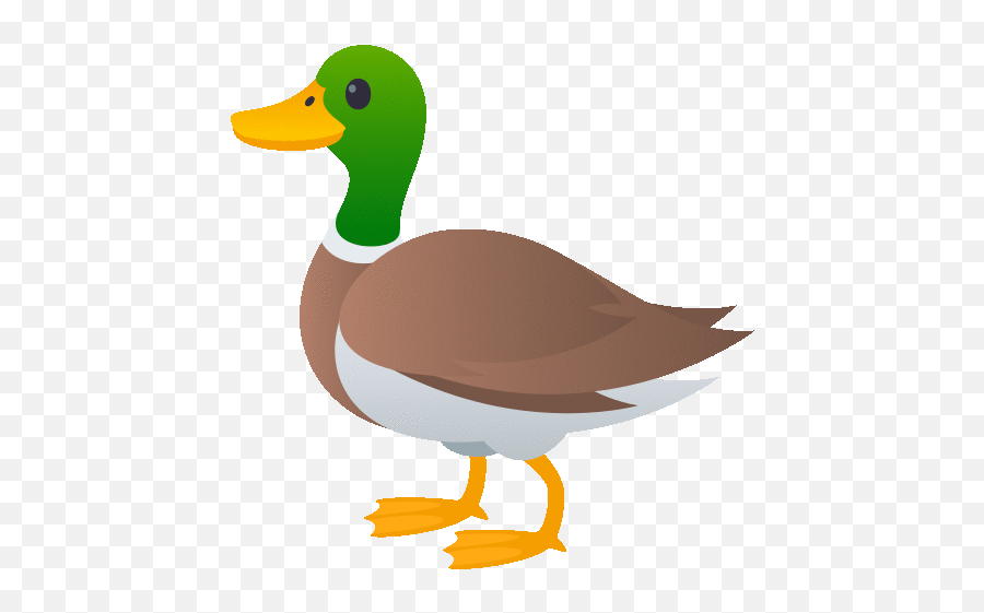 Duck Nature Gif - Duck Nature Joypixels Discover U0026 Share Gifs Domestic Duck Emoji,Goose Emoji