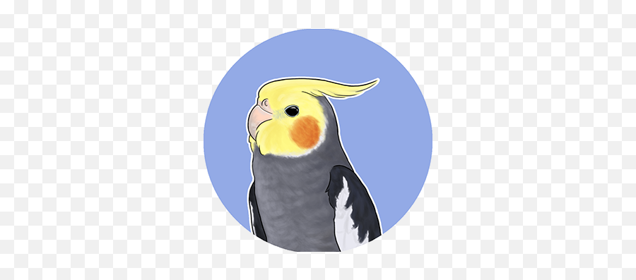 Pet Projects Photos Videos Logos Illustrations And - Cockatiel Emoji,Cockatiel Emoticon