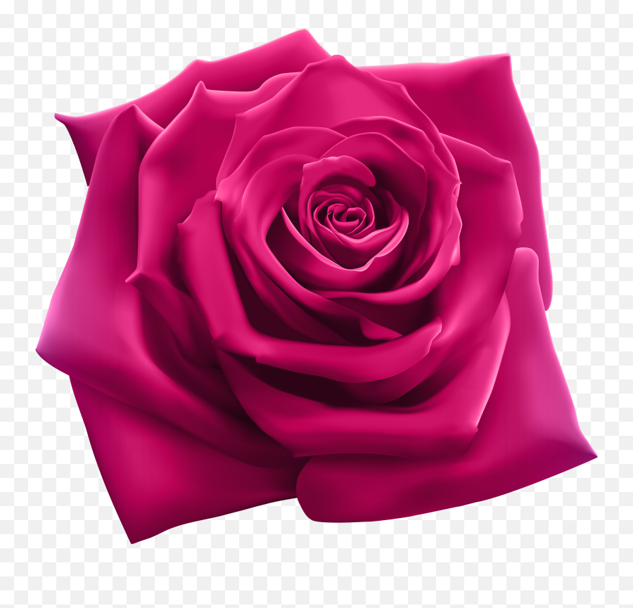 Pin By Fatima Cristina On Flores I Purple Roses Pink Rose Emoji,Emoticon Purple Rose