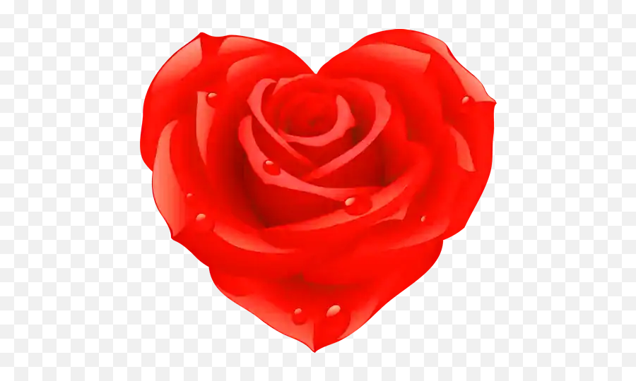 Flowers And Roses Stickers - Wastickerapps Apps On Google Play Emoji,Rose Emoji