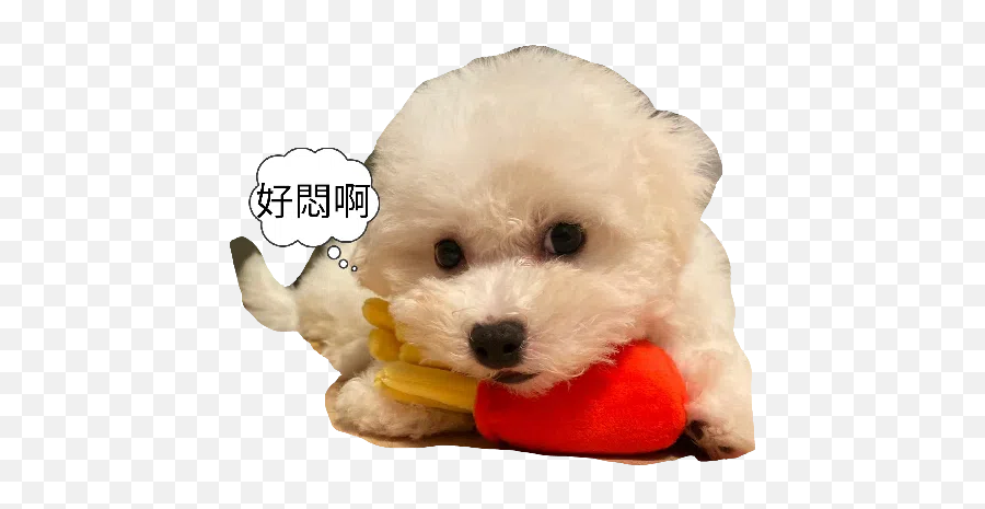 Jojo Sticker Pack - Stickers Cloud Emoji,Bichon Emoji