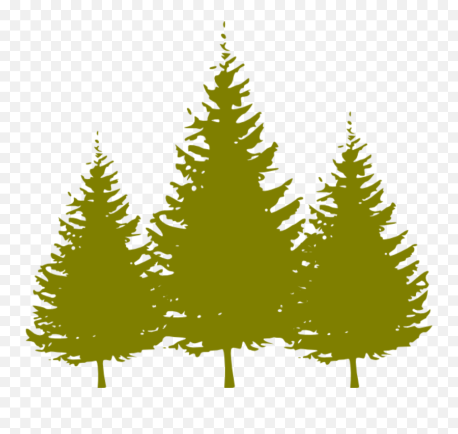 Green Pine Sticker By Kristal Brown - Hicks Christmas Tree Silhouete Png Emoji,Pine Emoji