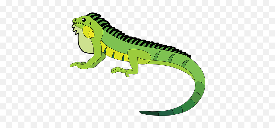 50 Free Iguana U0026 Lizard Illustrations - Pixabay Animal Figure Emoji,Reptiles Have Emotions