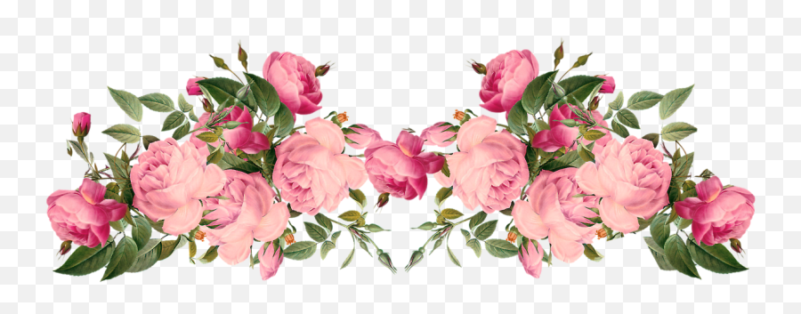 Rose - Darling On Tumblr Old Rose Flower Border Png Emoji,Two Roses Emoji
