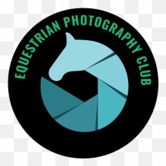 Blog - Coachman Park Emoji,Socialgo Network Emoticons Don't Work