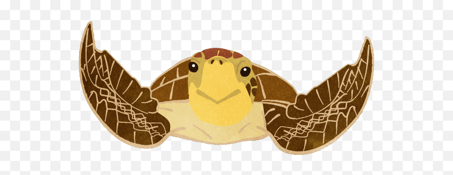 Set Of Sea Turtles - Animal Figure Emoji,Official Turtle Emoji