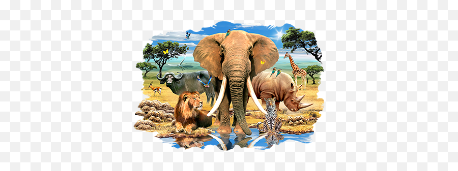 African Touch Adventures - South Africa Big 5 Png Emoji,Elephants And Emotion