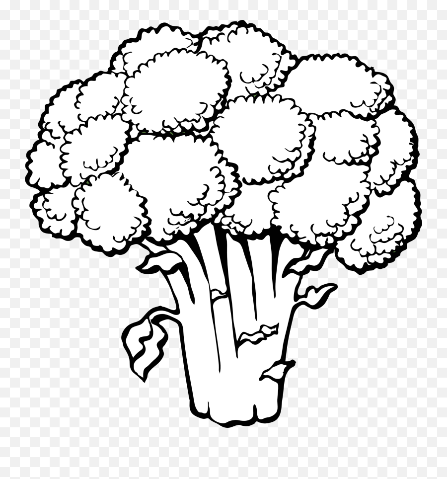 Lettuce Clipart 2 Famclipart - Broccoli Outline Emoji,Lettuce Emoji