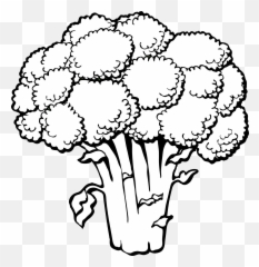 Lettuce Clipart 2 Famclipart - Broccoli Outline Emoji,Lettuce Emoji