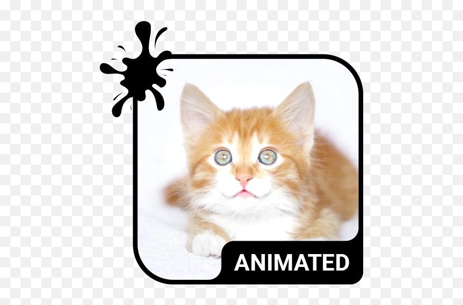 Kitty Cat Animated Keyboard Live Wallpaper U2013 Apps On Emoji,Cat Moving Emojis