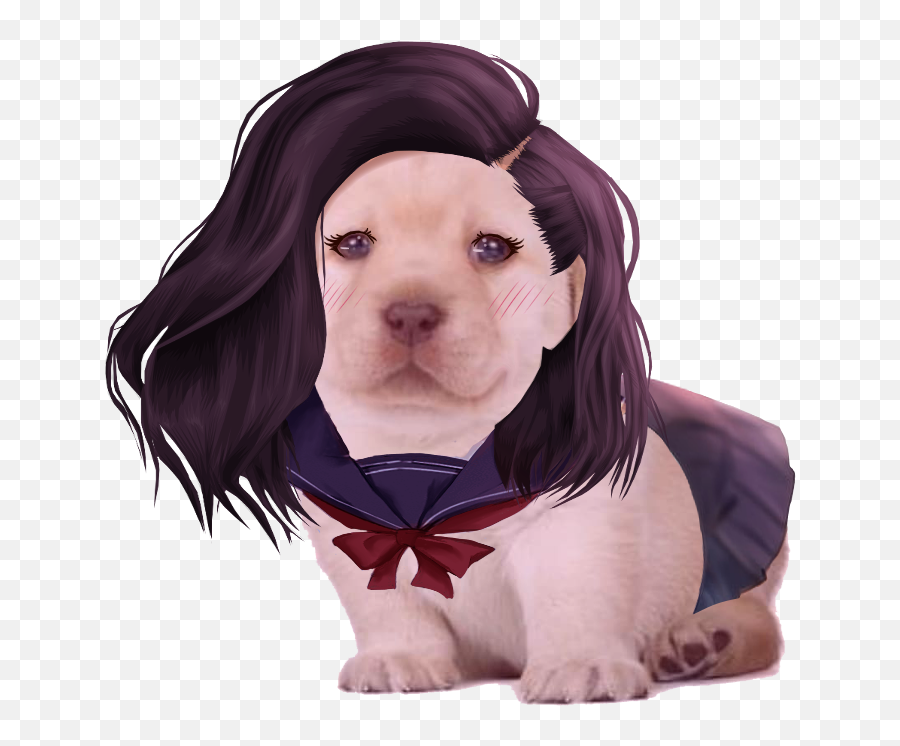 Perro As An Anime Girl Rdogelore Ironic Doge Memes Emoji,Anime Girl Emoticon