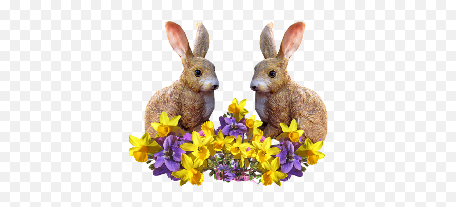 Png Images Rabbit 12png Snipstock Emoji,Hare Emotion